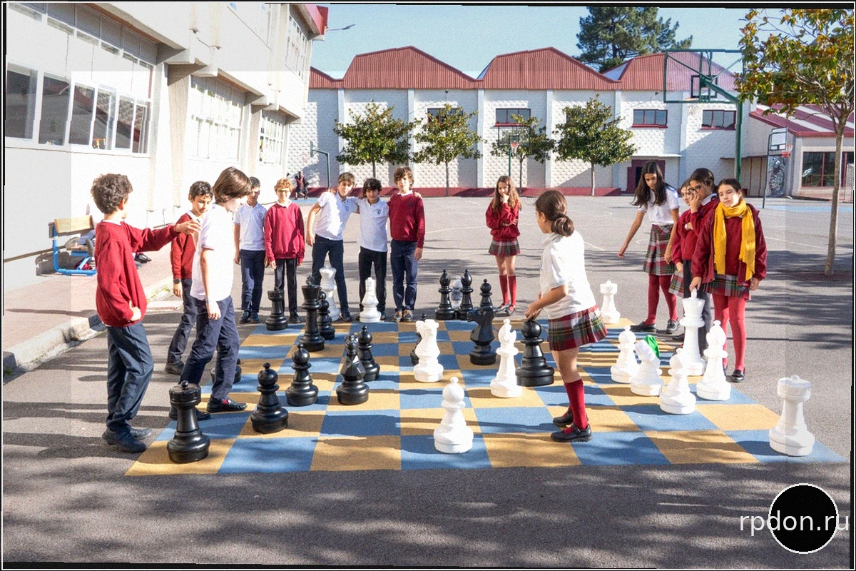 Школьные награды FIDE 2026: 20 учебных заведений отмечены за превосходство в образовании